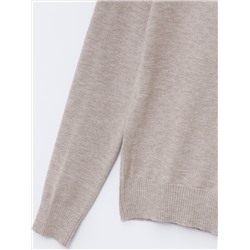 JERSEY DE CUELLO VUELTO