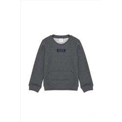 Erkek Çocuk Antrasit Melanj Basic Bisiklet Yaka Sweatshirt