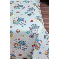 КПБ Совушки бязь Бэби 40*60