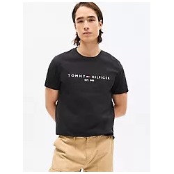 Embroidered Tommy Logo T-Shirt
