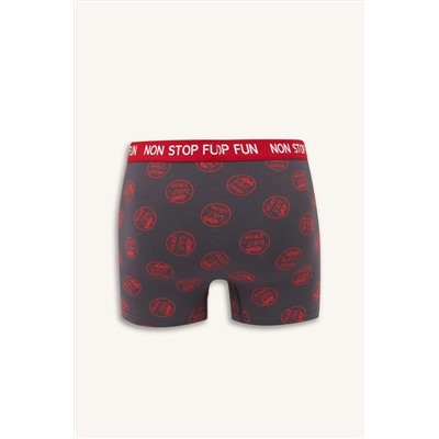 DeFacto Regular Fit 3lü Boxer B4782AX24WN
