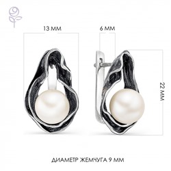 Серьги серебро 52241S1B