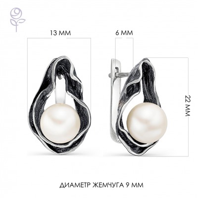 Серьги серебро 52241S1B