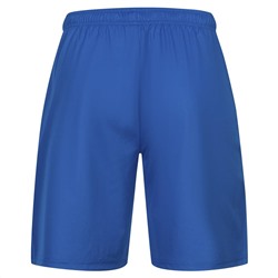 PUMA teamLIGA Herren Shorts 704924-35