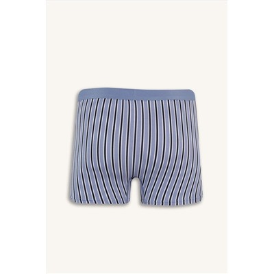 DeFacto Regular Fit Çizgili 3'lü Boxer E7203AX25SM