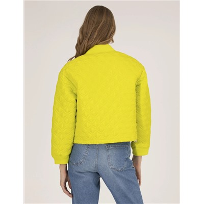 Yeşil Crop Top Mont
