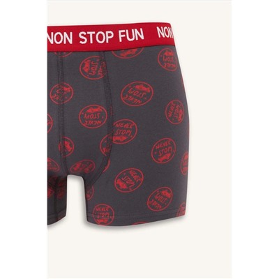 DeFacto Regular Fit 3lü Boxer B4782AX24WN