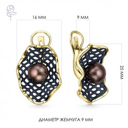 Серьги серебро 52848Y2U