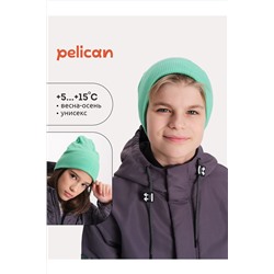 Шапка PELICAN, 1104392