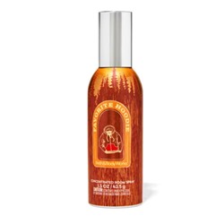 Favorite Hoodie Concentrated Room Spray