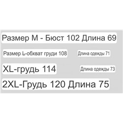 Мужская футболка Lor*o Pian*a