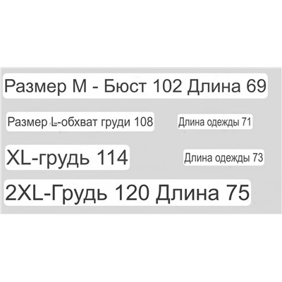 Мужская футболка Lor*o Pian*a