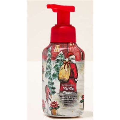 'Tis The Season Gentle & Clean Foaming Hand Soap