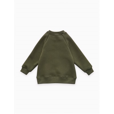 Толстовка футер начёс "Стейн" 30104