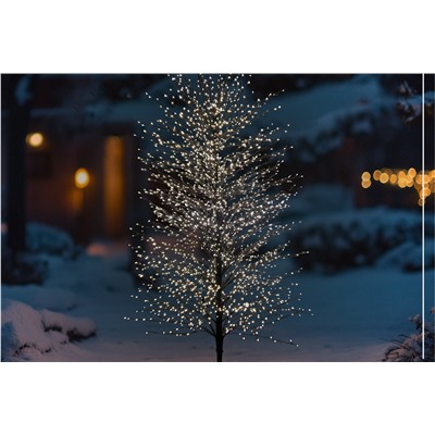 Светодиодное новогоднее дерево (210x100)