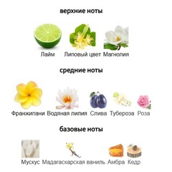 ORMONDE JAYNE FRANGIPANI edp (w) 10ml mini