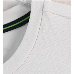 Мужская футболка 2 цвета БОС*С