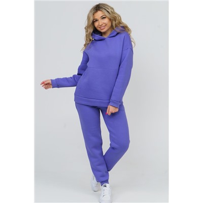 Костюм 36586 (худи + брюки) НАТАЛИ #811075