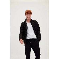 Bad Bear Domınıc Puffer Nıght