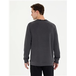 Antrasit Regular Fit Sweatshirt