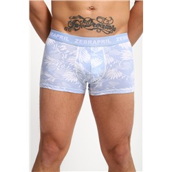 Трусы мужские 45072