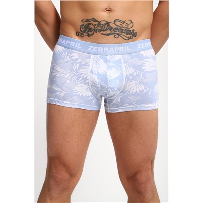 Трусы мужские 45072