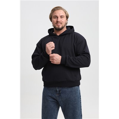 Толстовка мужская 22302