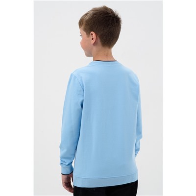 Толстовка Лицеист подростковая