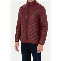 Erkek Bordo Mont