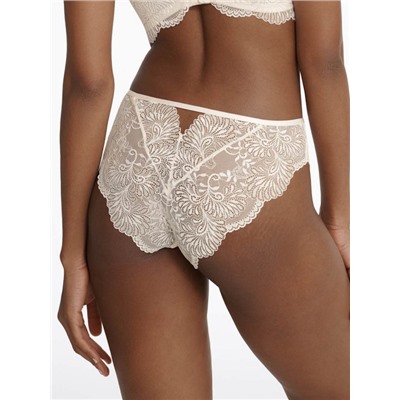 40897 ISLEY/02X Трусы слипы ESOTIQ