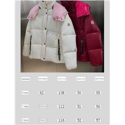 Женский пуховик   Moncle*r Paran*a