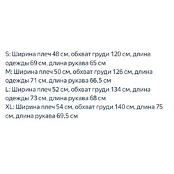 Мужской пуховик   М КОР*С