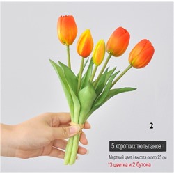 Маленький букет из тюльпанов ( 5 шт * 25 см)