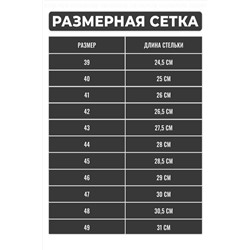 Тапочки мужские арт.91