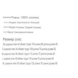 Мужская толстовка POL*O