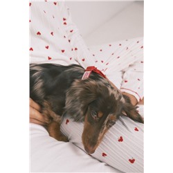 Collar perro rojo colgante cerezas