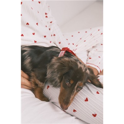 Collar perro rojo colgante cerezas