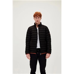 Bad Bear Domınıc Puffer Nıght