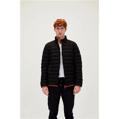 Bad Bear Domınıc Puffer Nıght