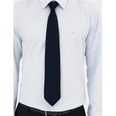 Açık Mavi Regular Fit Uzun Kollu Basic Gömlek