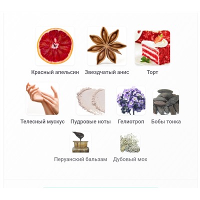 VAMPIRE WIFE 100ml extrait de parfum + стоимость флакона