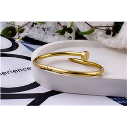 Стальной браслет Картье Гвоздь + Подарок