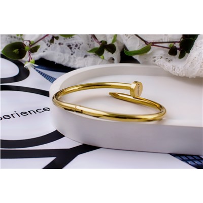 Стальной браслет Картье Гвоздь + Подарок