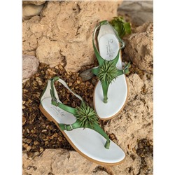 ZAPATOS 2726TG MANZANA+Pelle 2704 pistacho
