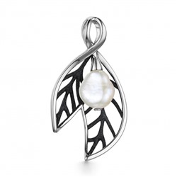Подвеска серебро 53861S6B