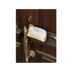 Сумка женская Lanotti 6006/серебро