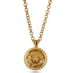 Кулон Огненный лев (диаметр 3см; покрытие золото с патиной) 55-60см, Есть комплект