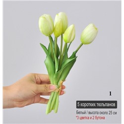 Маленький букет из тюльпанов ( 5 шт * 25 см)