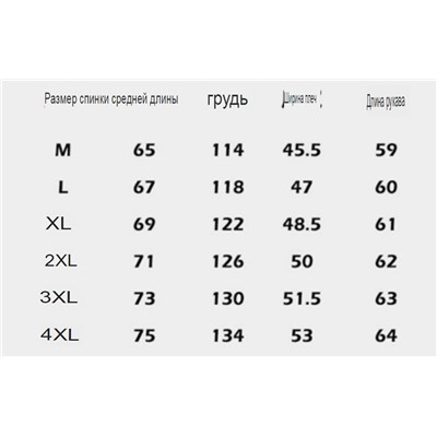 Осенняя куртка THE NORTH FAC*E