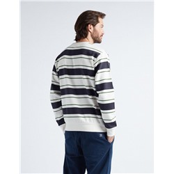 Striped Sweatshirt, Men, Multicolour